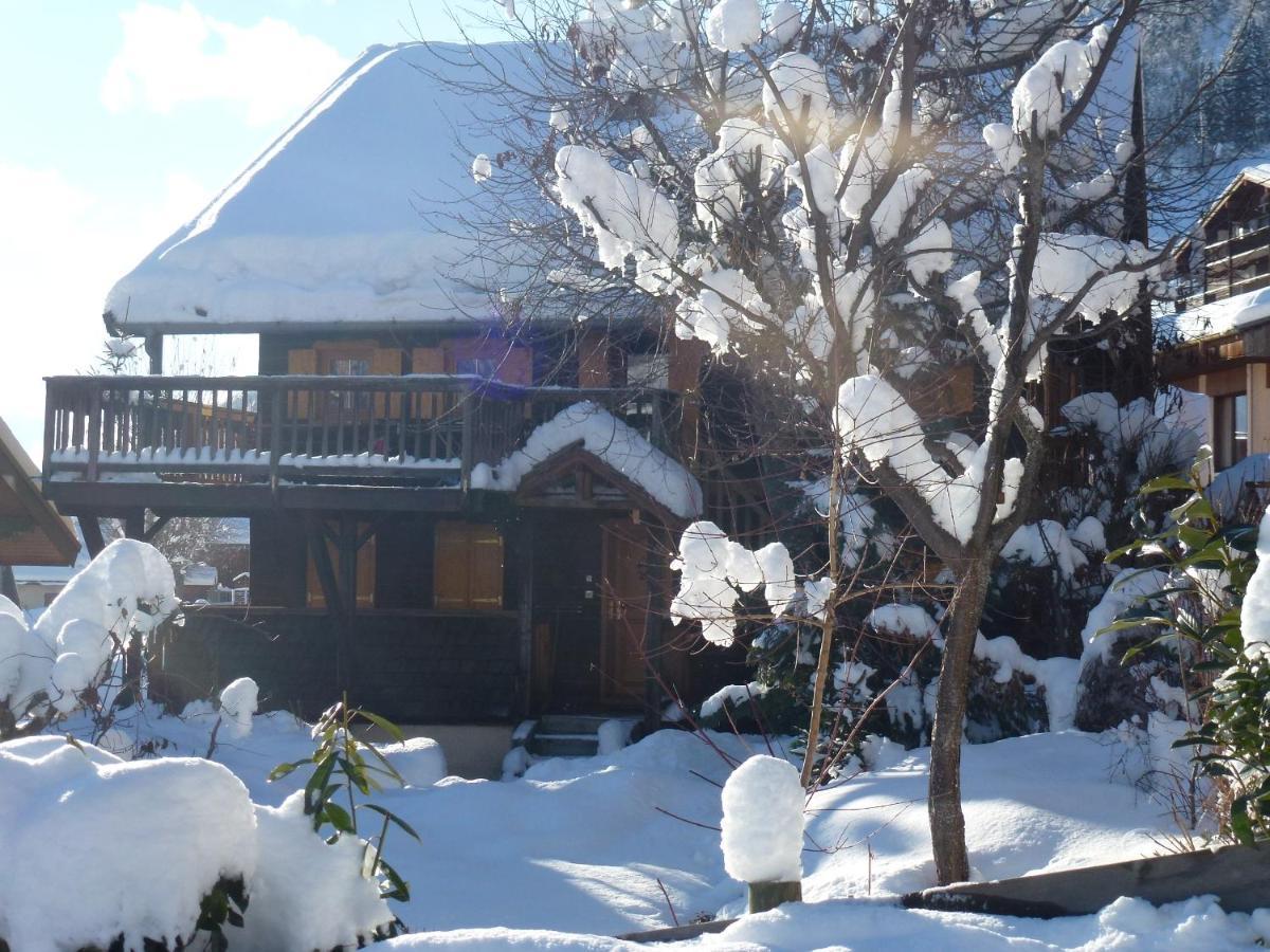 "Chalet Les Aravis" Chalet Et Appartements Льо Гран-Борнан Екстериор снимка