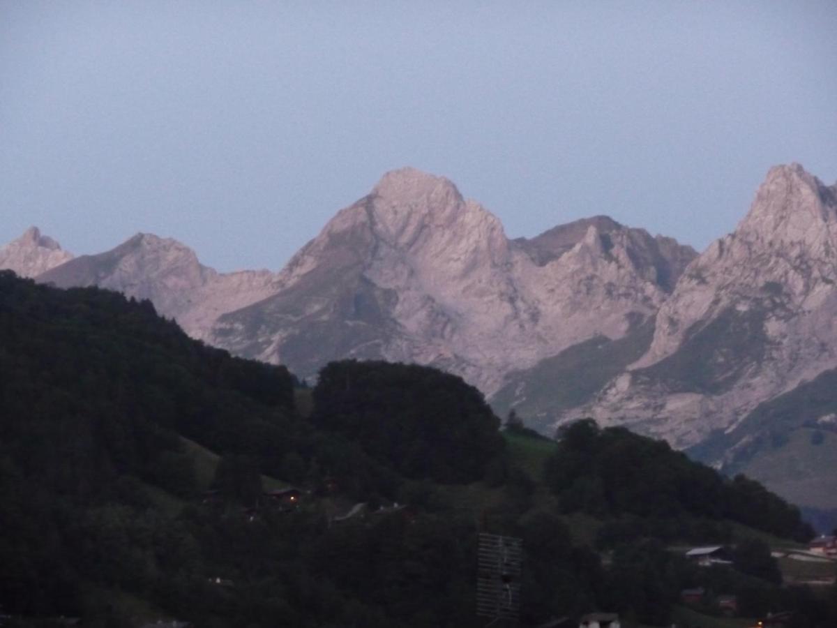 "Chalet Les Aravis" Chalet Et Appartements Льо Гран-Борнан Екстериор снимка