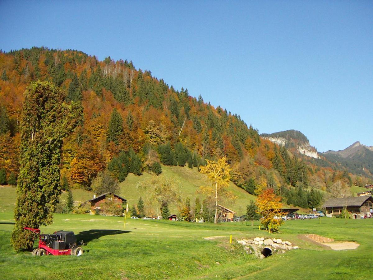 "Chalet Les Aravis" Chalet Et Appartements Льо Гран-Борнан Екстериор снимка