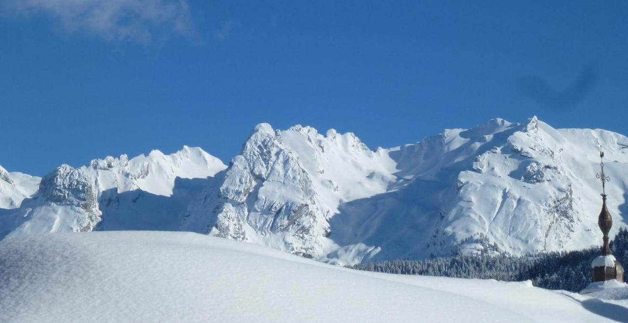 "Chalet Les Aravis" Chalet Et Appartements Льо Гран-Борнан Екстериор снимка