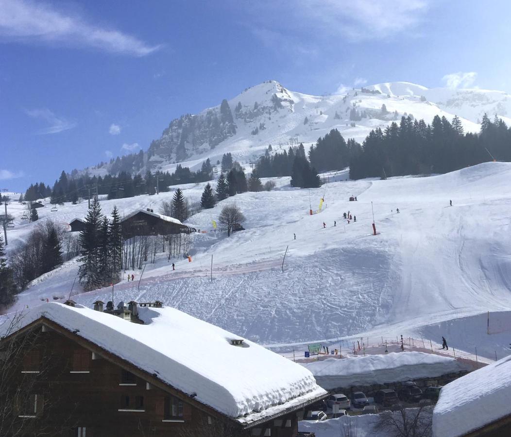 "Chalet Les Aravis" Chalet Et Appartements Льо Гран-Борнан Екстериор снимка
